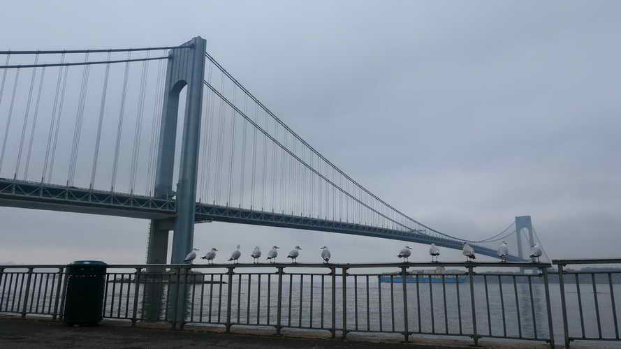 NYC_2020-02-01 11-57-33_P1090200